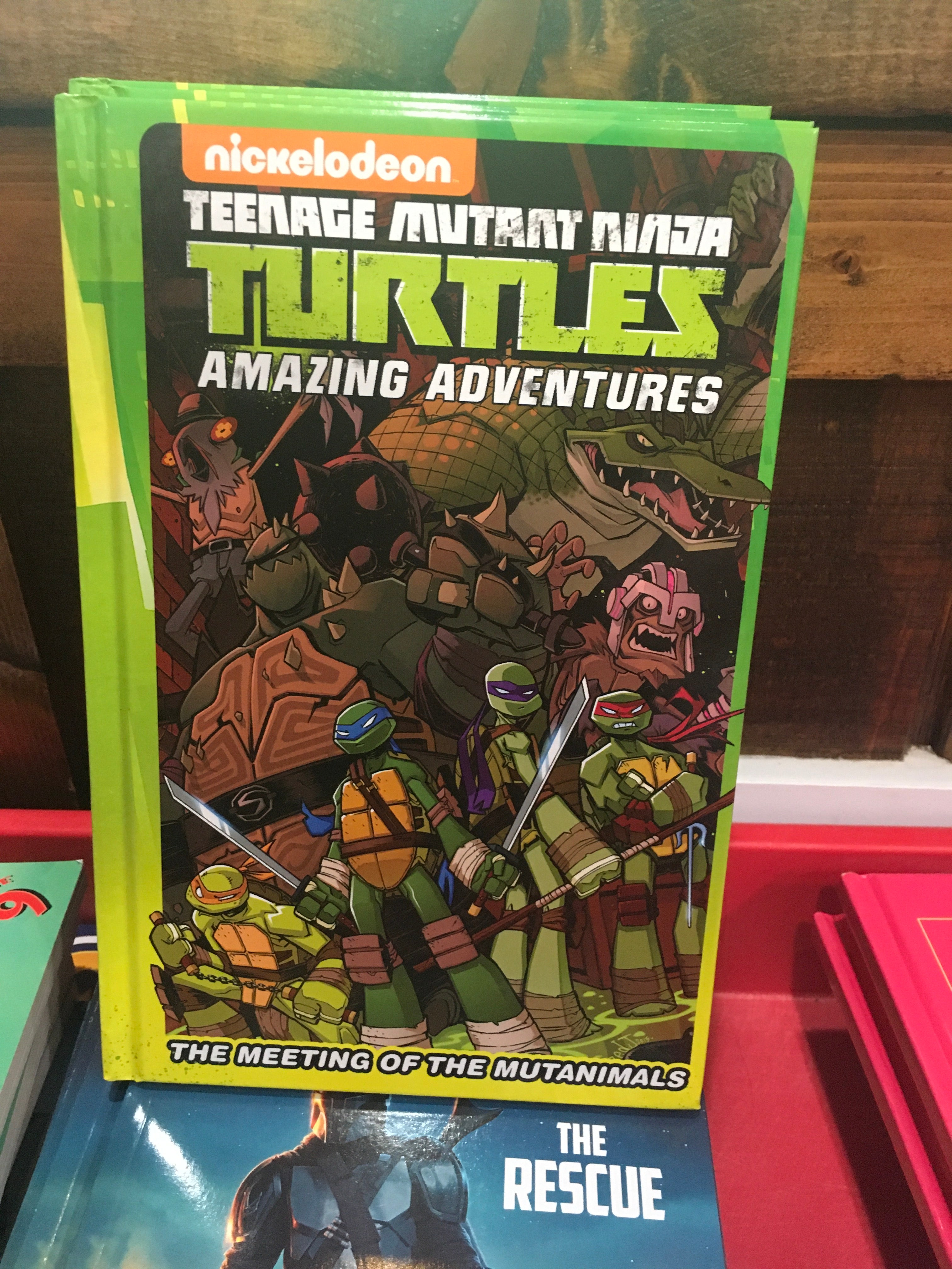 Teenage Mutant Ninja Turtles Amazing Adventures The Meeting Of The